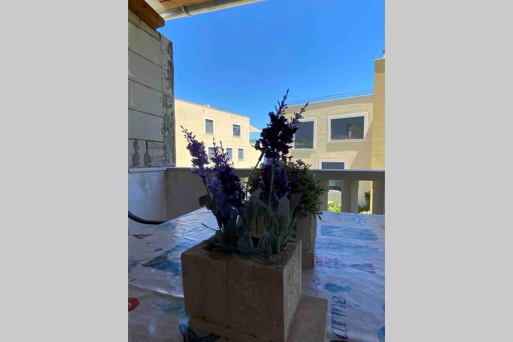 Apartman Toma Appartement Slatine Buitenkant foto
